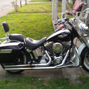 Meet your Posher, George